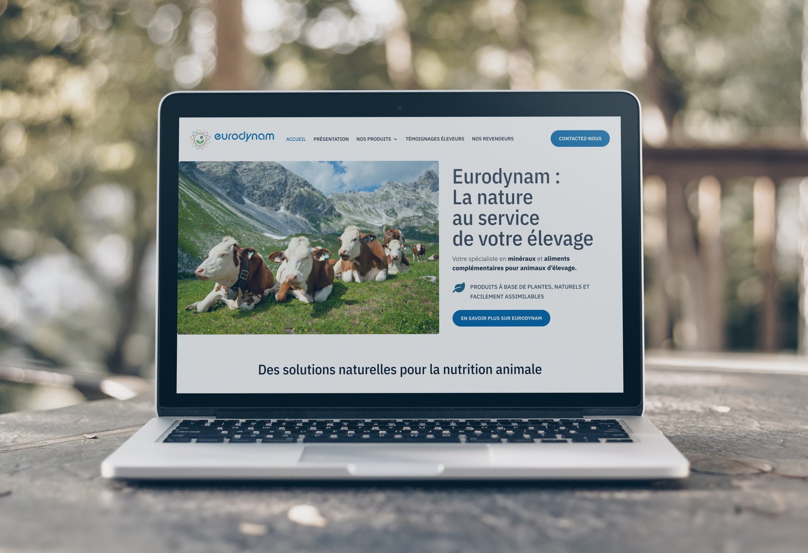 MacBook Pro Eurodynam refonte site internet entreprise